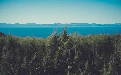 Getting Started with Image Converter Pro